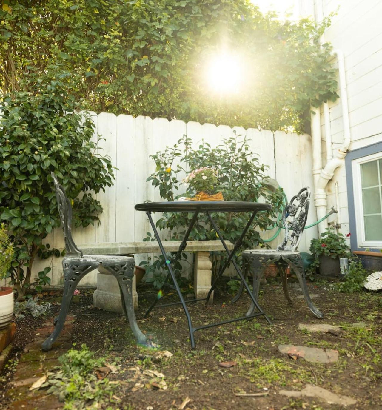 Mid-century Style In The Heart Of The Mission San Francisco